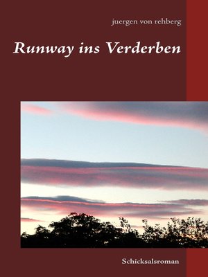 cover image of Runway ins Verderben